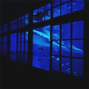 男同gay做爱视频
