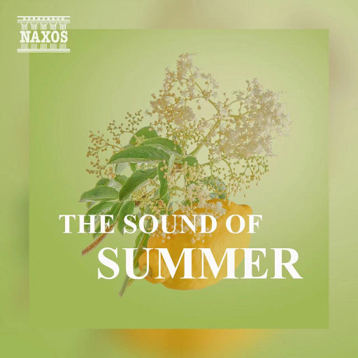 男同gay做爱视频
